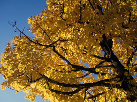 Herbstfarben